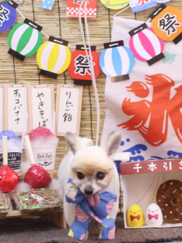 20240709エルくん